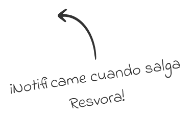 Consejo